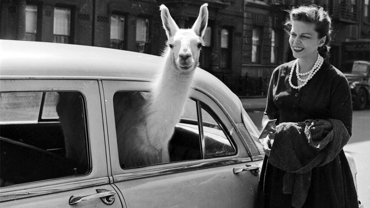 Here's What 'New Car Smell' Actually Is HowStuffWorks