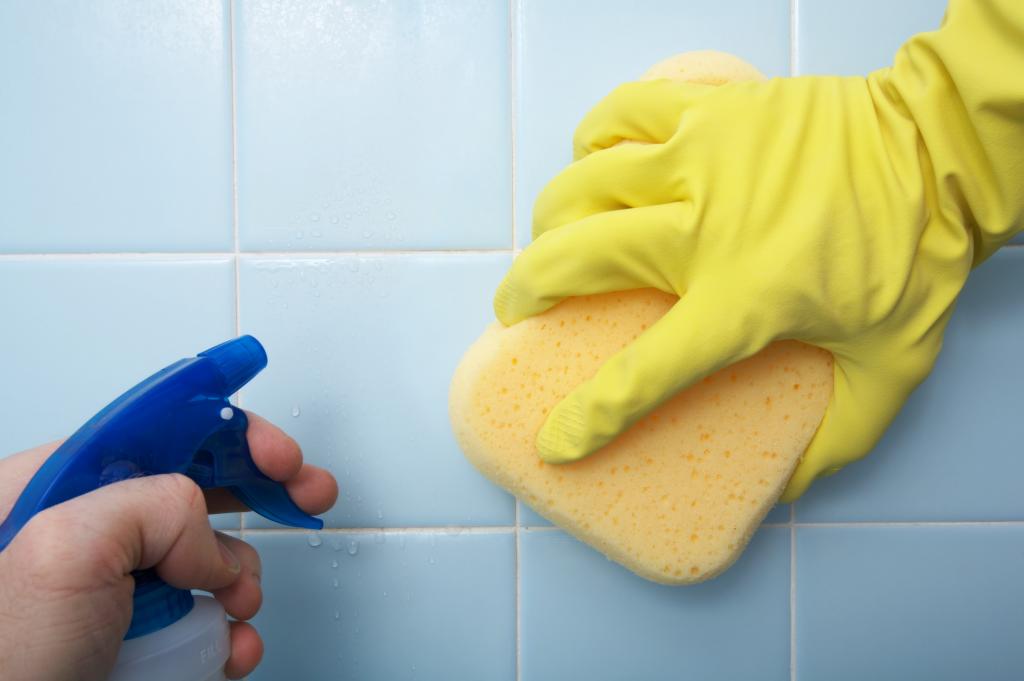 What Are the Best Shower Cleaning Products? HowStuffWorks